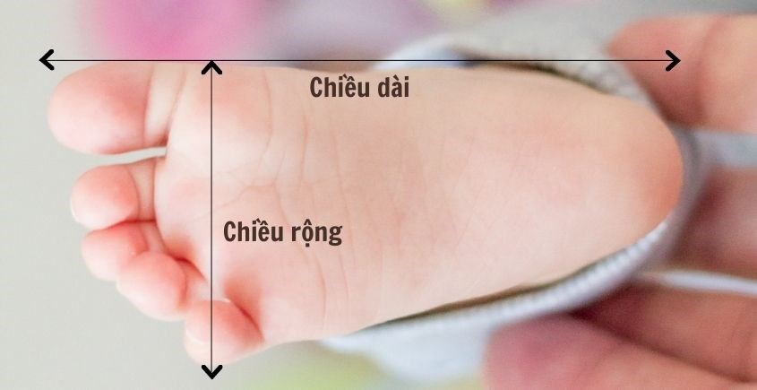 Cách đo chân cho bé sơ sinh